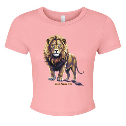 SOLID PINK BLEND - FRONT
